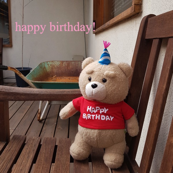 생일축하해 테드 Red / Pink Happy Birthday Ted